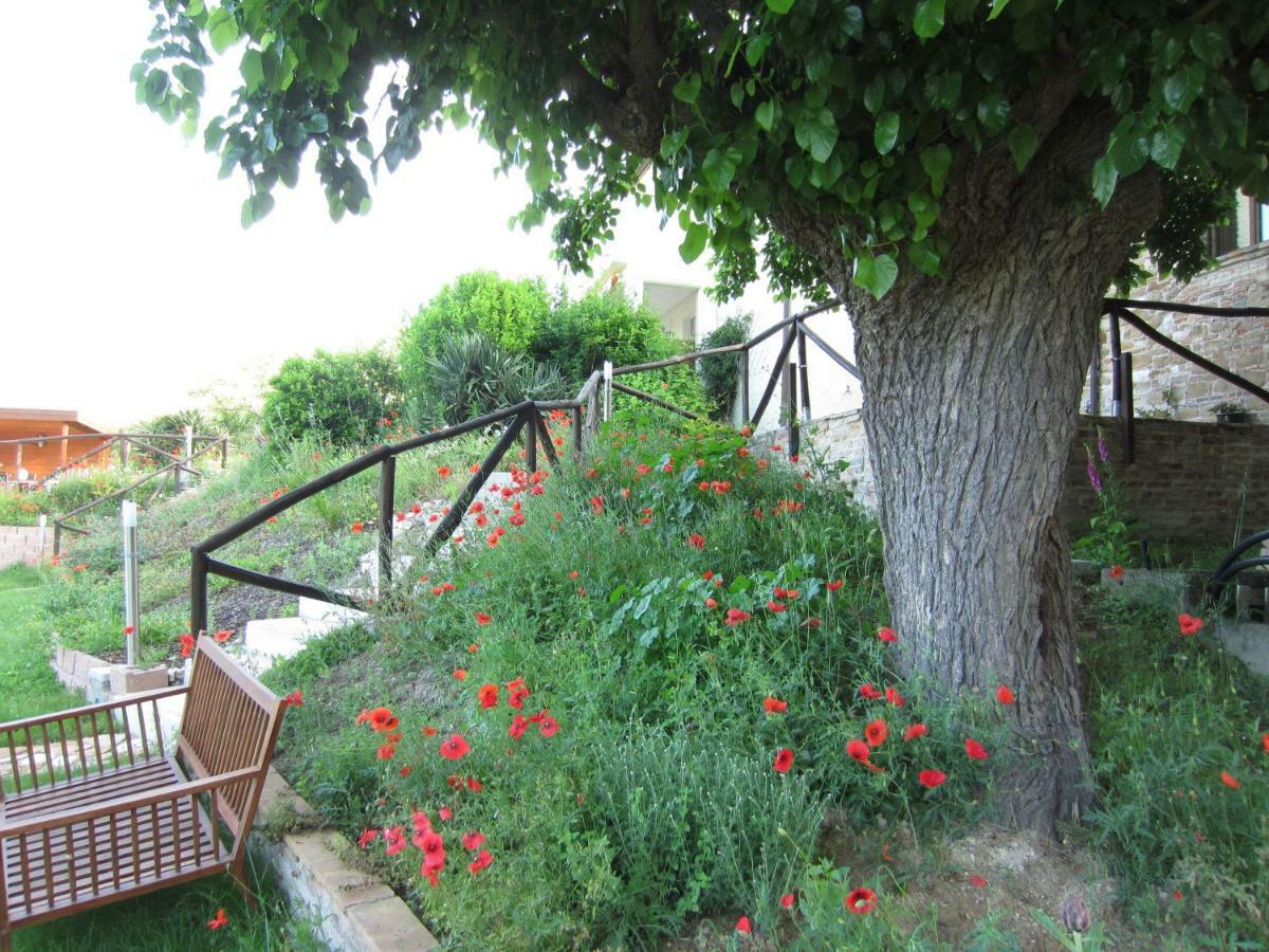 Casa Dei Sogni D'Oro Apartment San Pietro  Екстериор снимка
